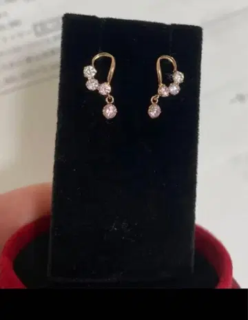 bloom 10k (PG) 귀걸이