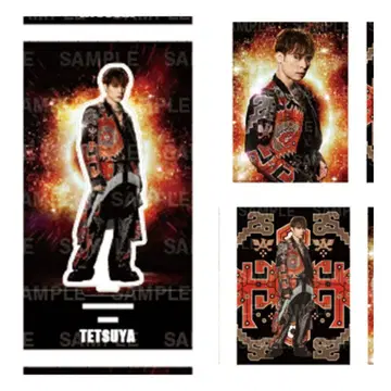 THE REASON TETSUYA 세트