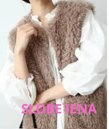 슬로브 이에나 브라운 퍼 베스트