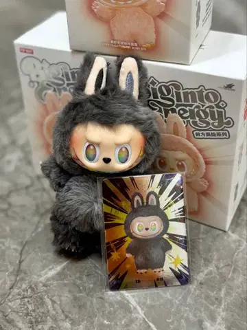 [ 새상품 미사용 ] Biginto Energy 러브브 시크릿 ID