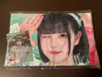 iLife 아이스 실사 빅 타월