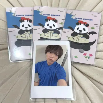 팬더 드래곤 팟치 하피카 트레이딩 카드 4개 세트