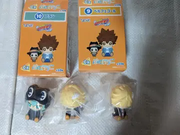 히코쿠지 가정교사 히트맨REBORN!! 퓨티코 벨페골 프란