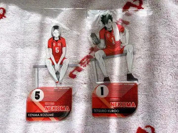 하이큐 연마 검은 꼬리 아크릴 스탠드