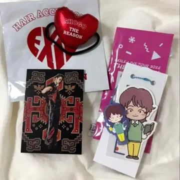 이와타니 쇼고 러버 키링 머리끈 사진 카세트