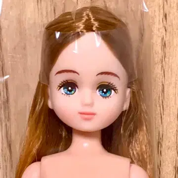 즐거운 인형 팔레트F 리카짱 캐슬