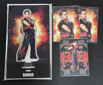 THE REASON 이와타니 쇼고 아크릴 스탠드 포토 카드