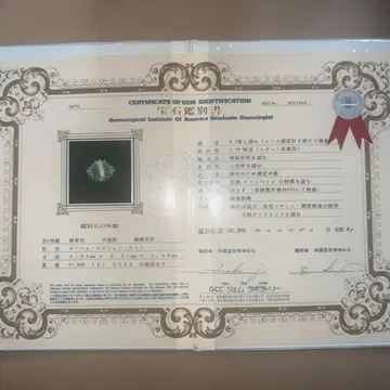 캐츠아이 platina900입니다