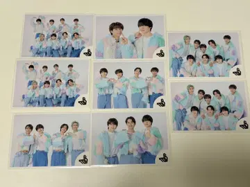 에비라이 2025 셔플 브로마이드 TOYSx