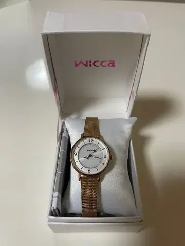 Wicca 손목시계 골드 메쉬
