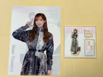 타무라 호노 세트 사쿠라자카46 복권 아크릴 스탠드 클리어 파일
