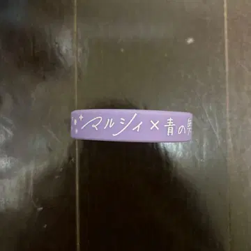 마루시 11/1 아오야마 학원 강당 러버 밴드