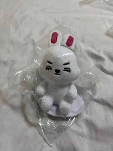 SEVENTEEN miniteen 에스크 키링 체리