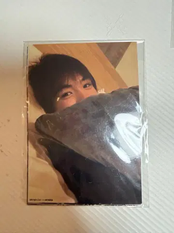 코미야 리오 브로마이드 5장 세트