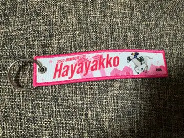 [ 새상품급 ] 하야야코 플라이트 택 하코다테 경마장 백모마 경마 굿즈