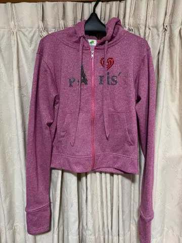 Dinoworks Paris hoodie lame