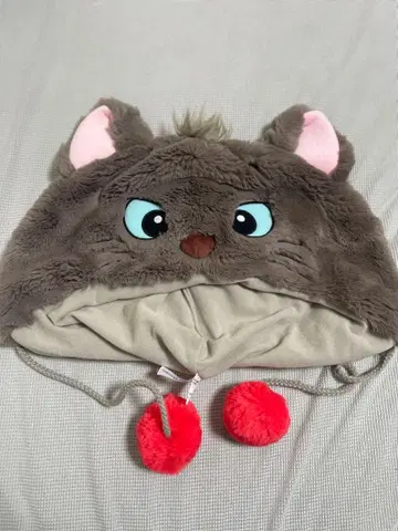 베르리오즈 팬캡