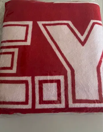 야자와 에이요시 비치 타월