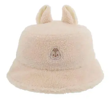 디즈니랜드 칩과 데일 보아캡