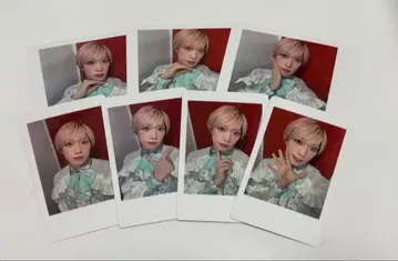 팬더드래곤 타이거 하피카