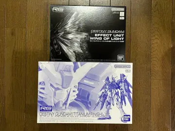 RG 데스티니 건담 (티타늄 피니쉬) & 이펙트 빛의 날개 세트
