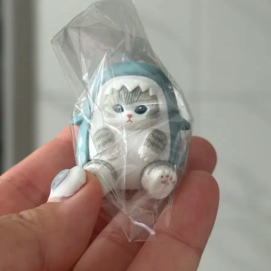 모프샌드 상어 가챠