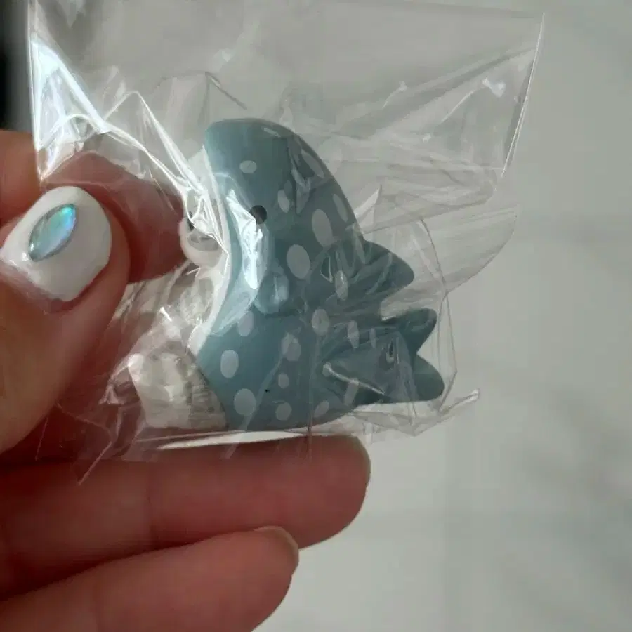 모프샌드 상어 가챠