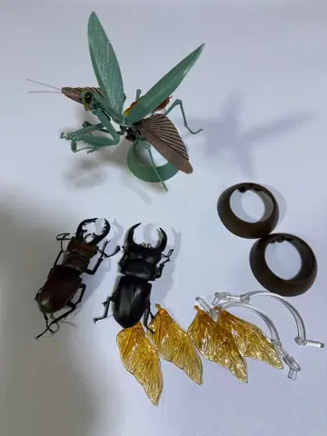 생물대도감 큰사슴벌레 미야마사슴벌레 큰사마귀 묶음 판매