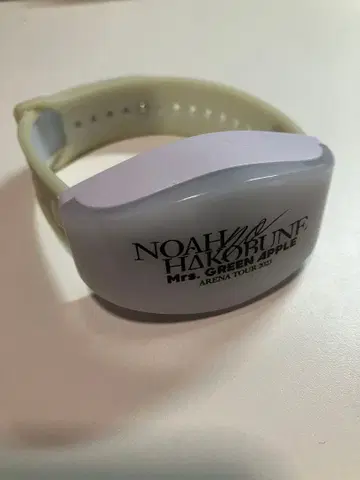 Mrs. GREEN APPLE 라이트