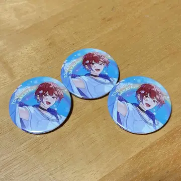 토나리노 사카타. 캔뱃지