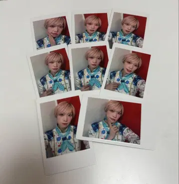 팬더드래곤 타이거 하피카 성탄제