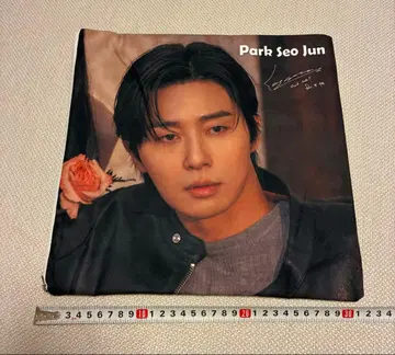 박서준 쿠션 커버