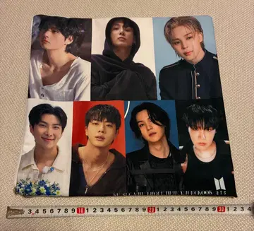BTS 쿠션 커버