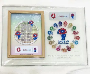 간사이 만박 미야쿠미야쿠 유리 포토 프레임 컬러풀 사진 액자 새상품