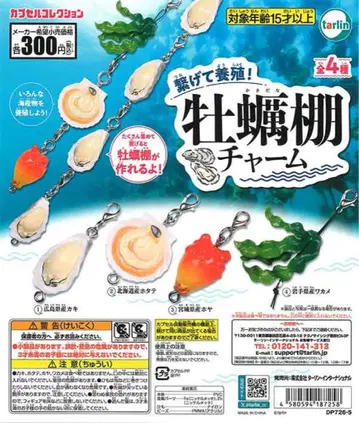 [ 컴플리트 ] 굴 선반 참 전 4종 세트