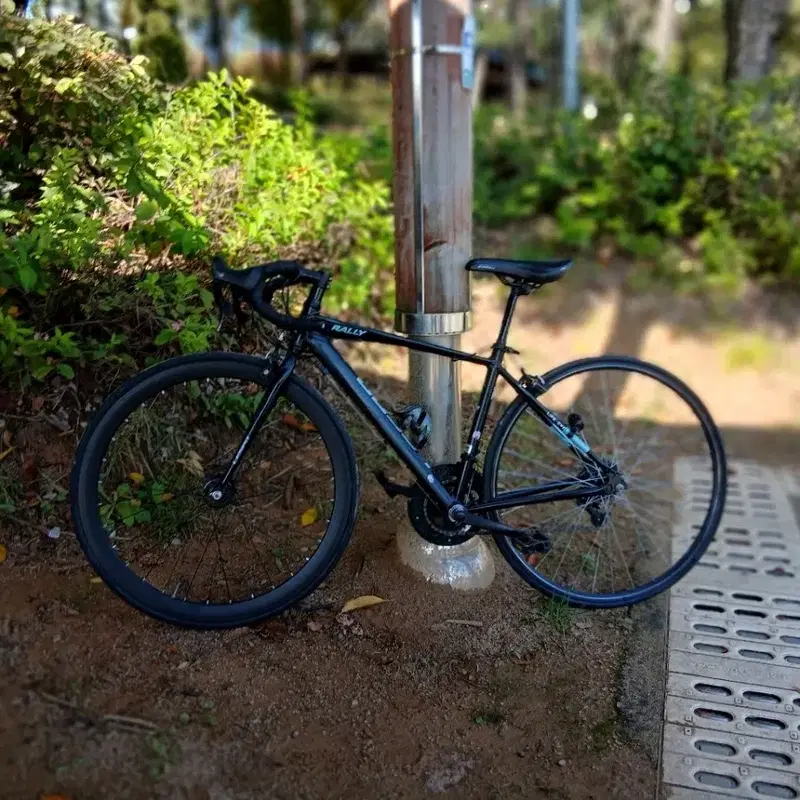 로드 자전거