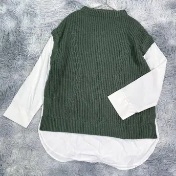 AS KNOW AS PLUS [ F ] 도킹 니트 셔츠 그린 봄/가을