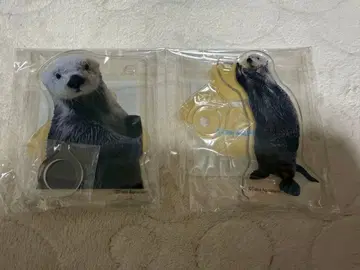 캡슐 복권 랏코의 메이짱 복권 D상 도바 수족관 펜 스탠드 키라