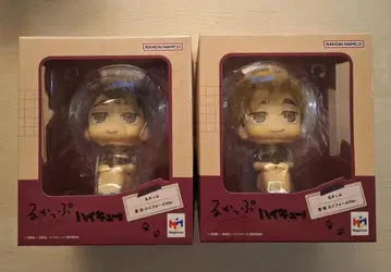 룩업 하이큐 미야 아츠무 미야 오사무