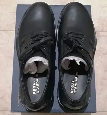 REGAL STANDARDS 61GR 25cm 리갈