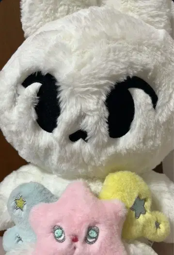 NCT 원트 비둘기