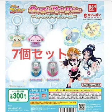 빛의 전사 프리큐어 메지루시 액세서리