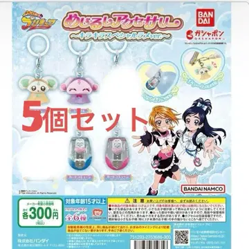 빛의 전사 프리큐어 메지루시 액세서리