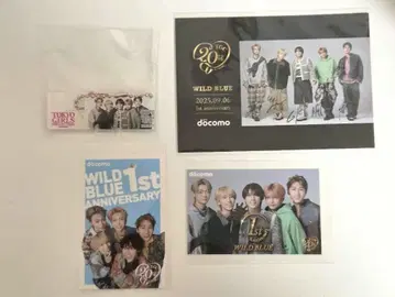 WILD BLUE DOCOMO 스티커 아크릴 스탠드 스티커