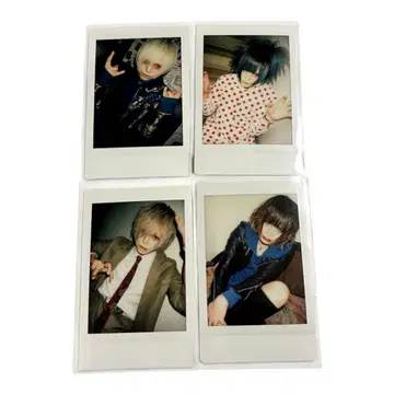 R지정 마모 폴라로이드