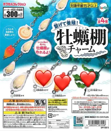 굴 선반 참 [ 히로시마현산 굴 ] 6개 세트