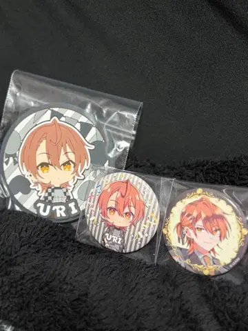 컬러풀 피치 우리  세트