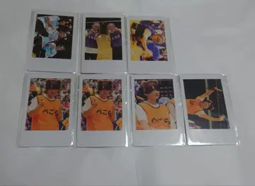 DD 대운동회 DD 스크래치 강아지멍멍 고양이냥냥 하피카