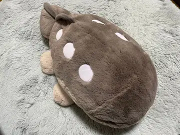 포켓몬 센터 폭신폭신 안고 인형 두오