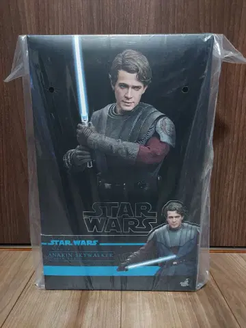 핫토이즈 TV 마스터피스 스타 워즈 아나킨 스카이 워커